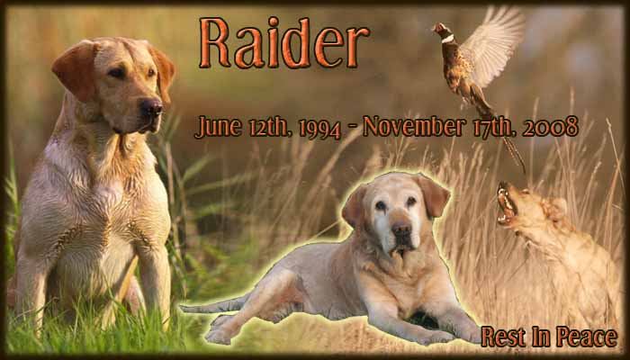 Raider - Rest In Peace